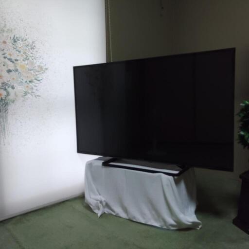 家電 テレビ