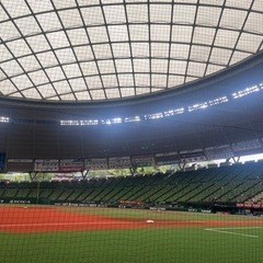 【6/25(火)19:00-イチゴで野球観戦!5名〆】西武vs日...