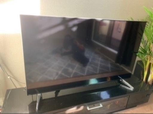 家電 テレビ 液晶テレビ