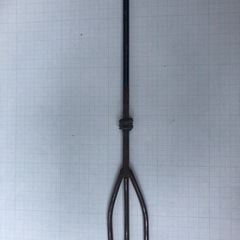 モリ　やり　魚取り　夏休みの画像