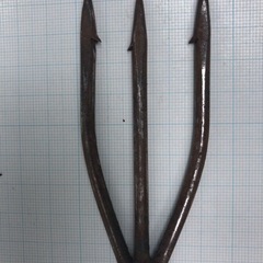 モリ　やり　魚取り　夏休みの画像