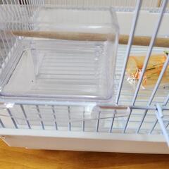 鳥かごの画像