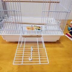 鳥かごの画像