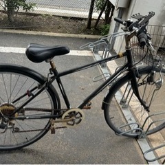自転車 