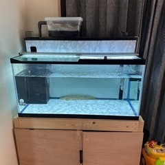 900水槽フルセット　　　生体付き