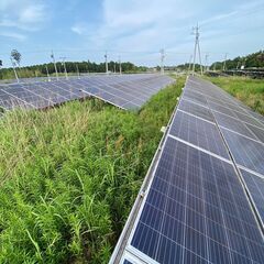 【週1日、1日4時間～】太陽光パネル周りの草刈り、パネル洗浄人員募集
