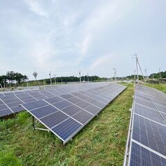 【週1日、1日4時間～】太陽光パネル周りの草刈り、パネル洗浄人員募集の画像