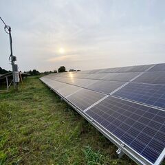【週1日、1日4時間～】太陽光パネル周りの草刈り、パネル洗浄人員募集の画像