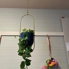 【３月末で掲載終わります】IKEA チリストローン ハンギングプ...