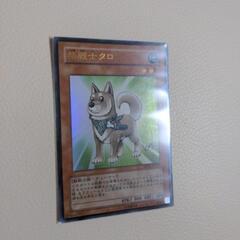 遊戯王カード　柴戦士タロの画像