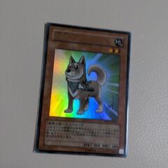 遊戯王カード　柴戦士タロ