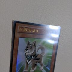 遊戯王カード　柴戦士タロの画像