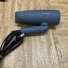 SALONIA ドライヤー SL-013GR