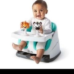 ベビーアインシュタイン ブースターシート バンボ　bumbo