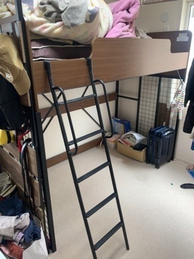 【ニトリ】システムベット