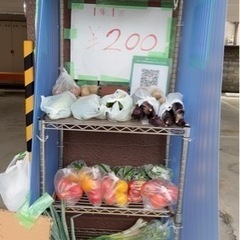 新鮮野菜　直売所　無人販売