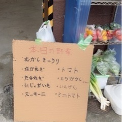 新鮮野菜　直売所　無人販売の画像