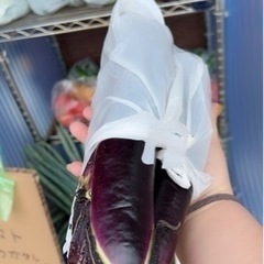 新鮮野菜　直売所　無人販売の画像