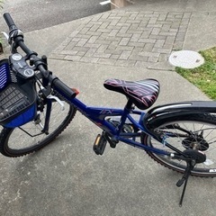 　BRIDGESTONE ブリヂストン 22インチ 自転車　子供
