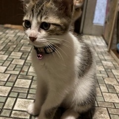 生後3ヶ月の女の子