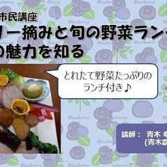 ブルーベリー摘みと旬の野菜ランチで都市農業の魅力を知る　～まちデ...