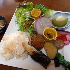 ブルーベリー摘みと旬の野菜ランチで都市農業の魅力を知る　～まちデザイン市民講座#3の画像