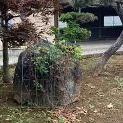 庭石