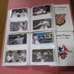 阪神優勝、2003/2005　photo album