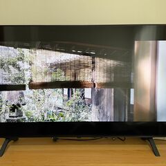 LG 50V型 NanoCell テレビ 50NANO75JPA