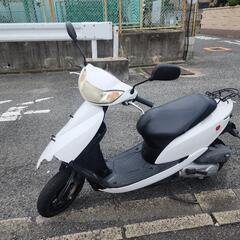 下見のご予約中。原付 白 50cc