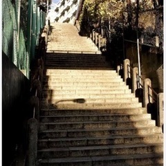 ランニングメンバー募集（皇居、男坂）