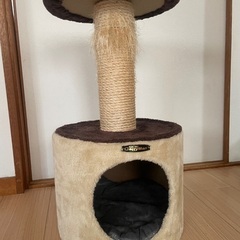 無料　55cm ペットCATタワー