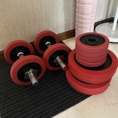 リーディングエッジ　ダンベル　40kg セット
