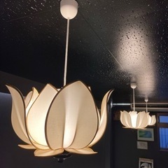 蓮の花の照明6個あります