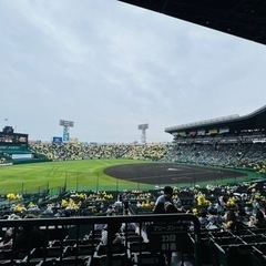 6月28日 甲子園 阪神中日   チケット