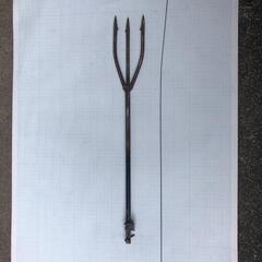 モリ　槍　魚取り　夏休みの画像