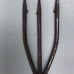 モリ　槍　魚取り　夏休みの画像