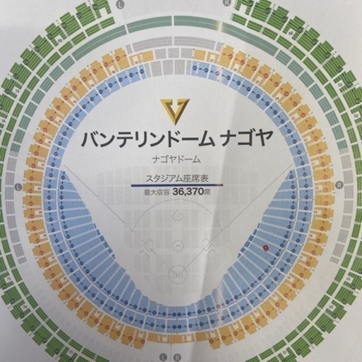 野球 チケット 8月11日 vs巨人