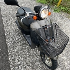 HONDA ホンダ　トゥデイ　AF67 50ccの画像