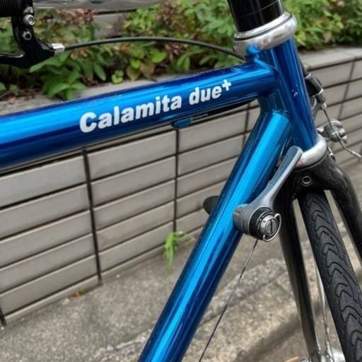 calamita due+ サイズ49