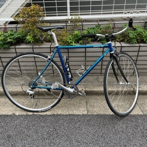 calamita due+ サイズ49