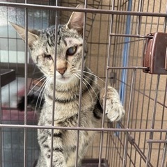 もうすぐ1歳