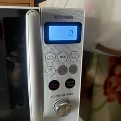 Iris Oyama オープンレンジ　2020年の画像