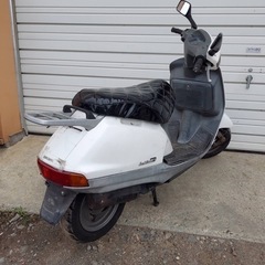 ホンダリード50実働札幌近郊
の画像