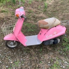 ヤマハ　キュート