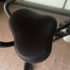 HAIGE ハイガー エアロバイク 静音 小型 フィットネスバイク メーター付きの画像