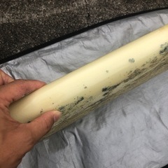 スポーツ マリンスポーツの画像