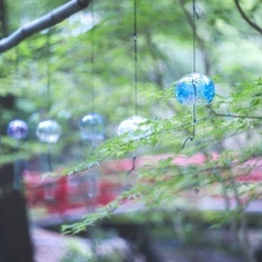 静岡県西部のカメラ好き募集