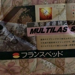 ダブルのマットレスのみですの画像