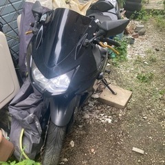 ninja250r